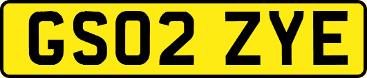 GS02ZYE