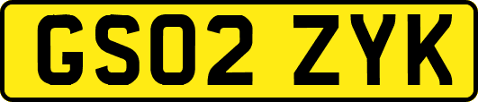 GS02ZYK