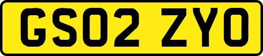 GS02ZYO