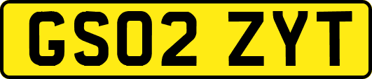 GS02ZYT