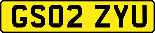 GS02ZYU