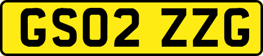GS02ZZG