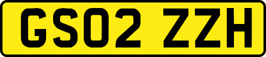 GS02ZZH