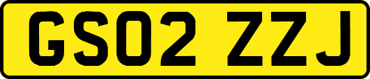 GS02ZZJ