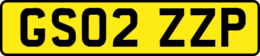 GS02ZZP