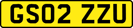 GS02ZZU