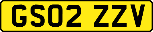 GS02ZZV