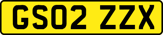 GS02ZZX