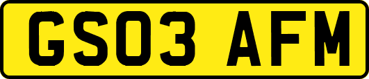 GS03AFM