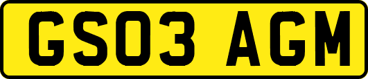 GS03AGM