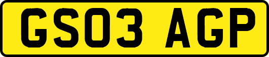 GS03AGP