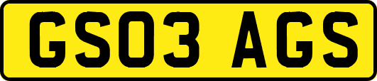 GS03AGS