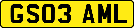 GS03AML