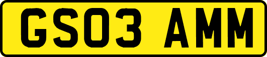 GS03AMM
