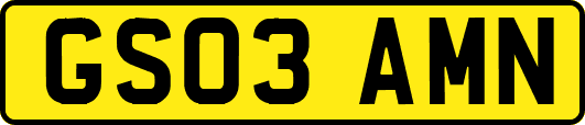 GS03AMN