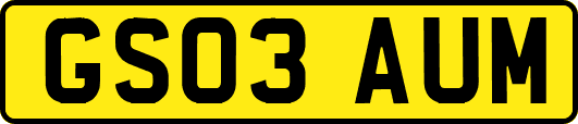 GS03AUM