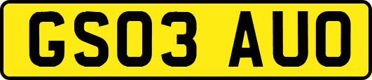GS03AUO
