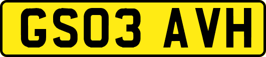 GS03AVH