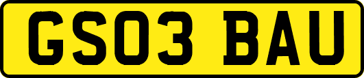 GS03BAU