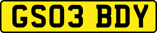 GS03BDY