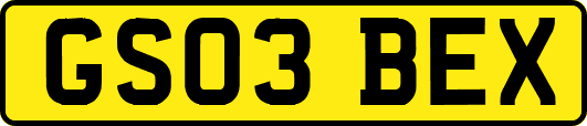 GS03BEX