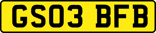 GS03BFB