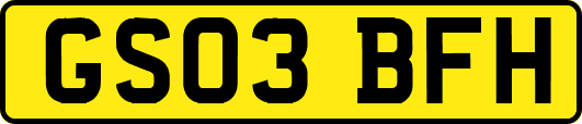 GS03BFH