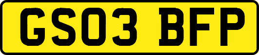 GS03BFP