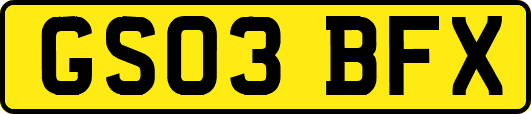 GS03BFX