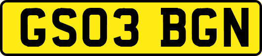 GS03BGN