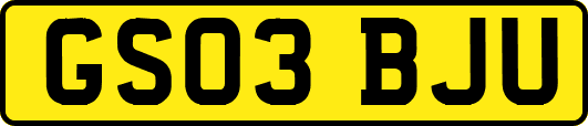 GS03BJU