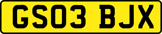 GS03BJX