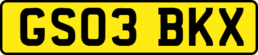 GS03BKX