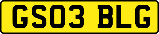 GS03BLG