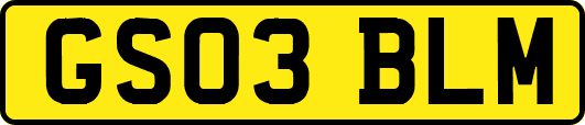 GS03BLM