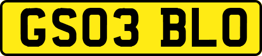 GS03BLO