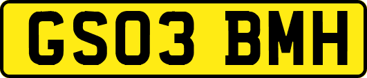 GS03BMH