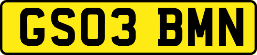 GS03BMN