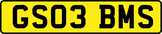 GS03BMS