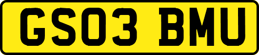 GS03BMU