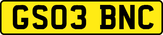 GS03BNC