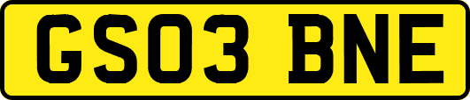 GS03BNE