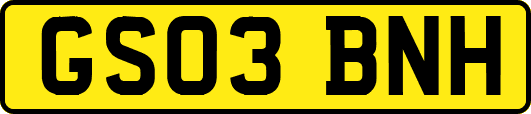 GS03BNH
