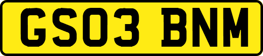 GS03BNM