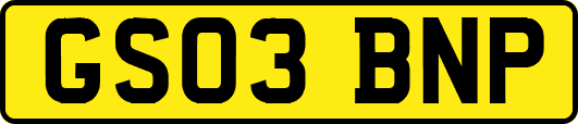 GS03BNP
