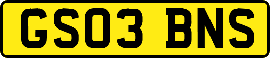 GS03BNS
