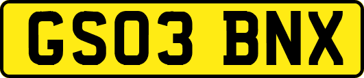 GS03BNX