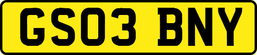 GS03BNY