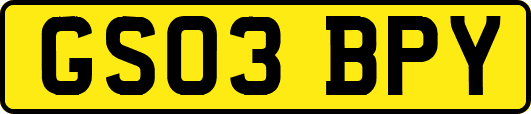 GS03BPY