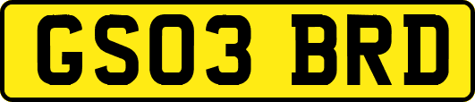 GS03BRD